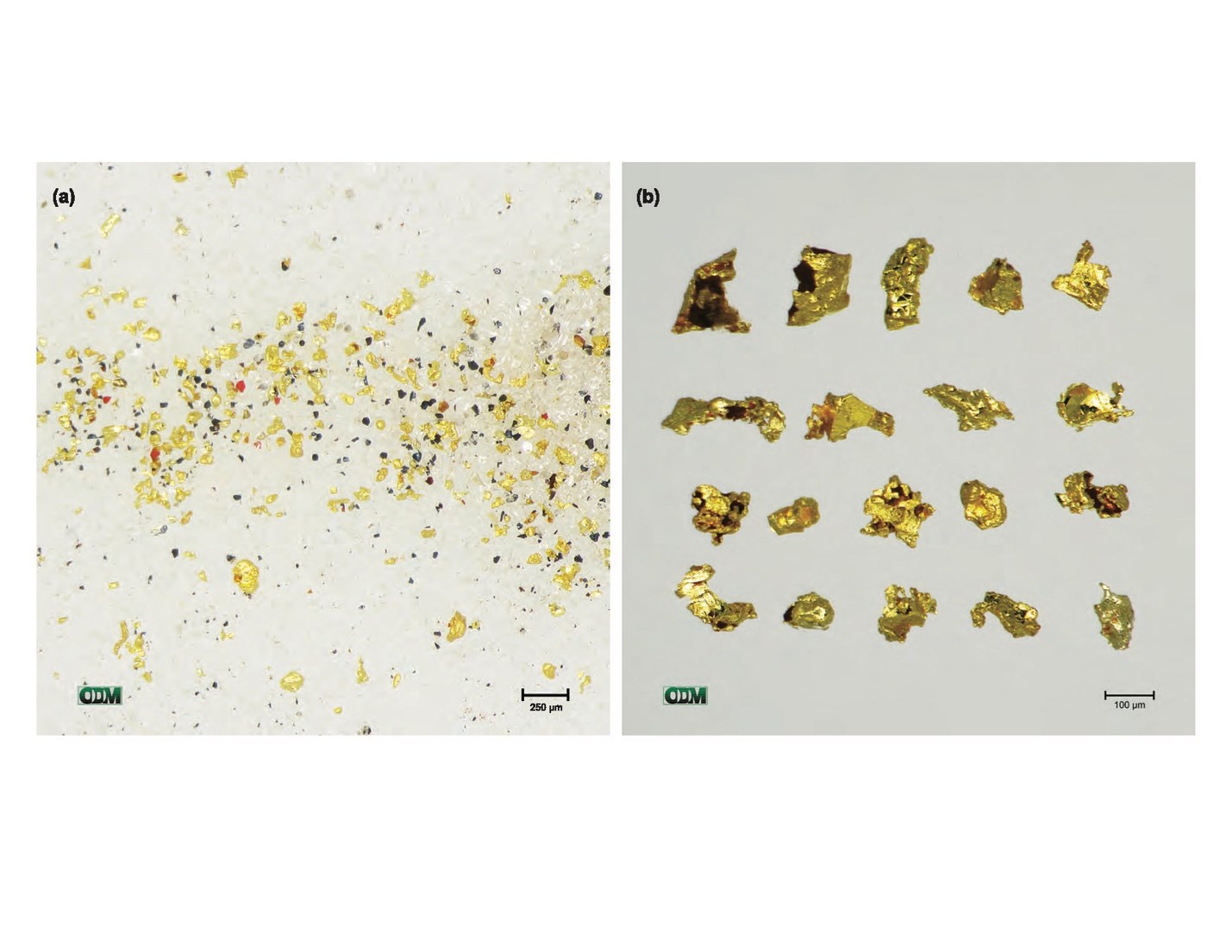 Cannot view this image? Visit: https://images.newsfilecorp.com/files/5023/272865_957240c8e4c809c6_003.jpg